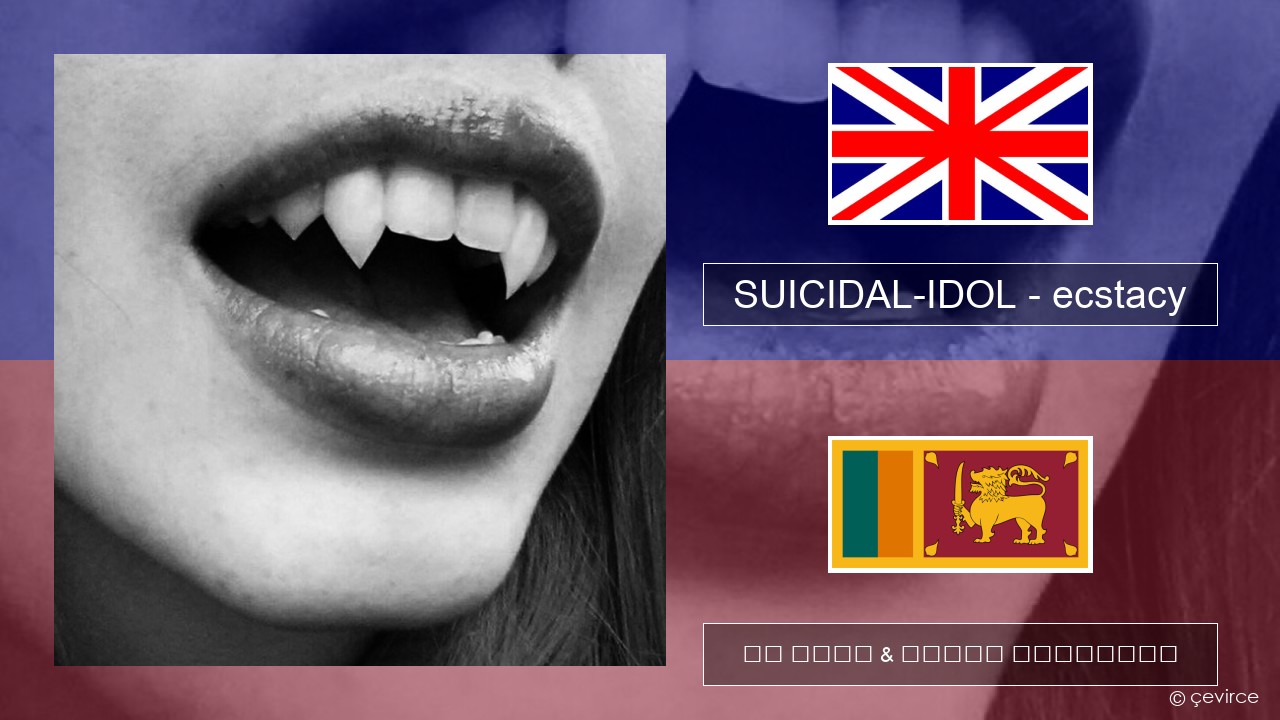 SUICIDAL-IDOL – ecstacy (super slowed) ඉංග්රීසි පද රචනය & සිංහල පරිවර්තන