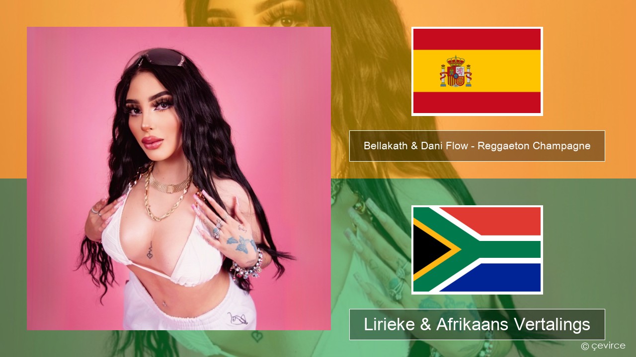 Bellakath & Dani Flow – Reggaeton Champagne Spaanse Lirieke & Afrikaans Vertalings