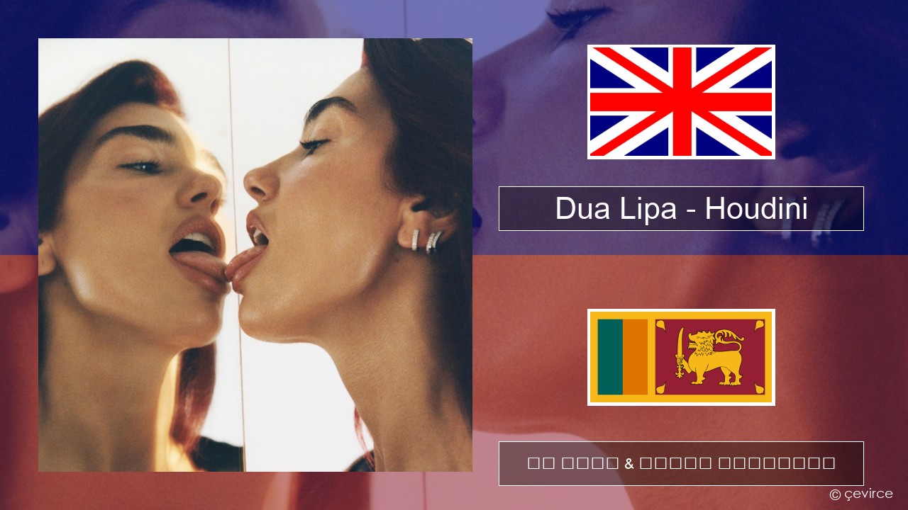 Dua Lipa – Houdini ඉංග්රීසි පද රචනය & සිංහල පරිවර්තන