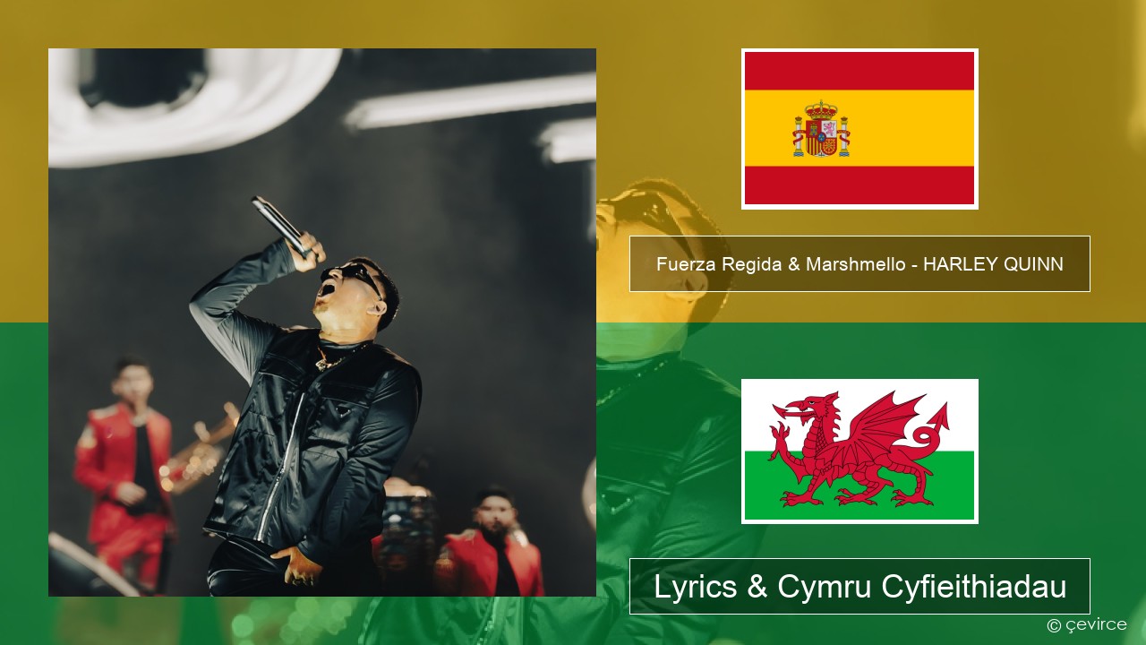 Fuerza Regida & Marshmello – HARLEY QUINN Sbaeneg Lyrics & Cymru Cyfieithiadau