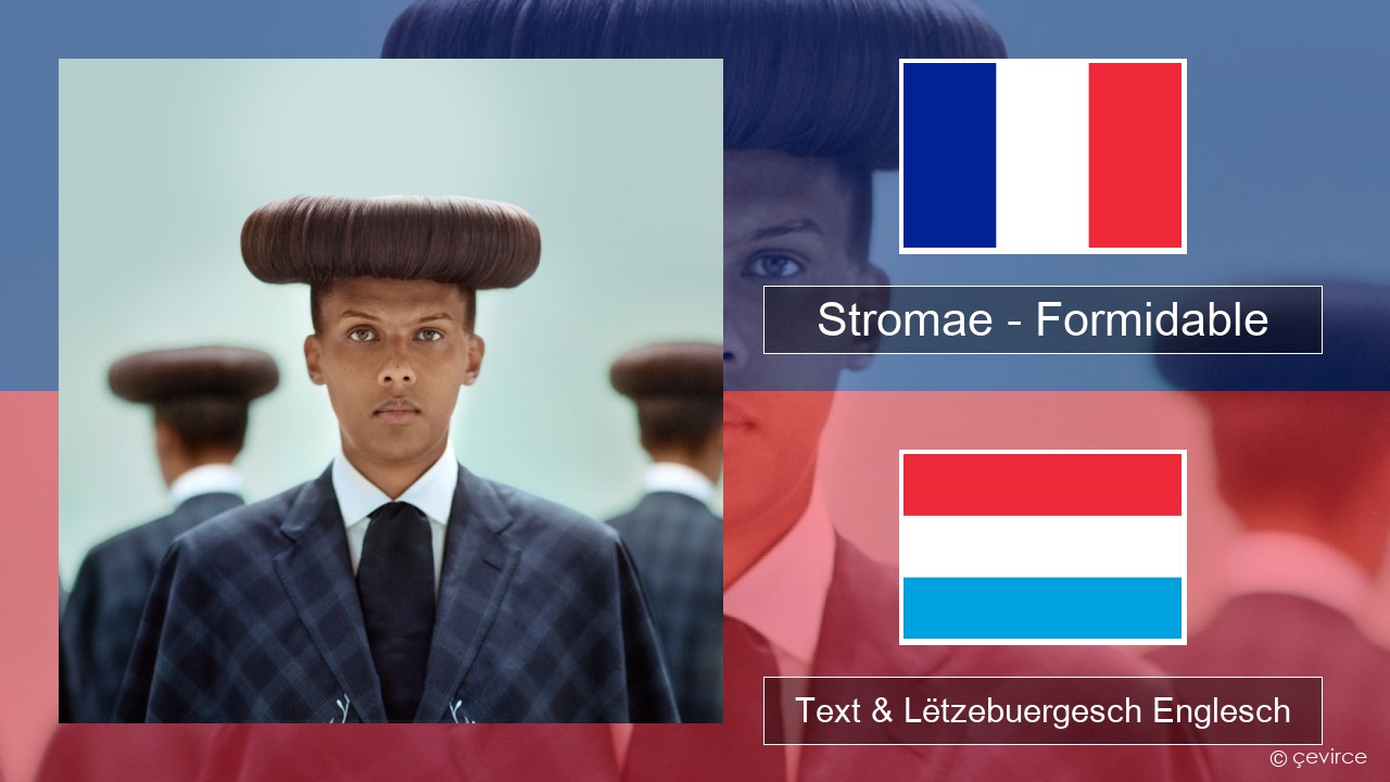 Stromae – Formidable Franséisch Text & Lëtzebuergesch Englesch