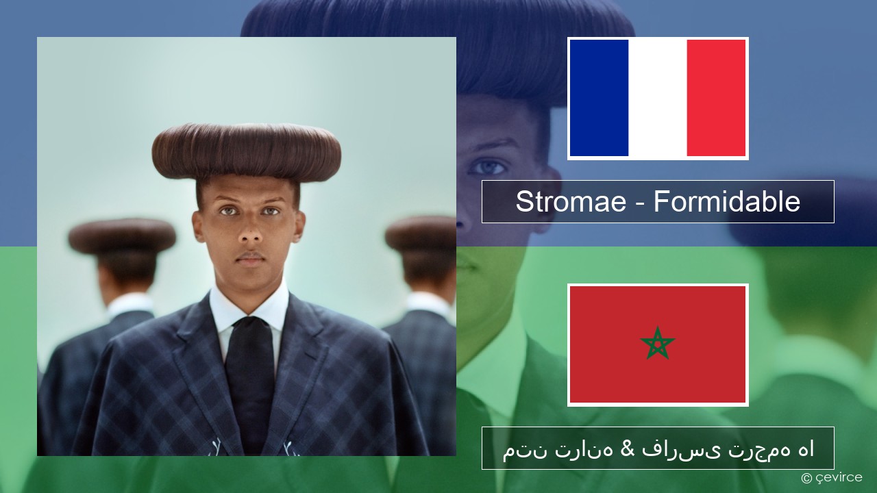 Stromae – Formidable فرانسوی متن ترانه & فارسی ترجمه ها