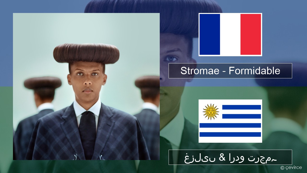 Stromae – Formidable فرانسیسی غزلیں & اردو ترجمہ