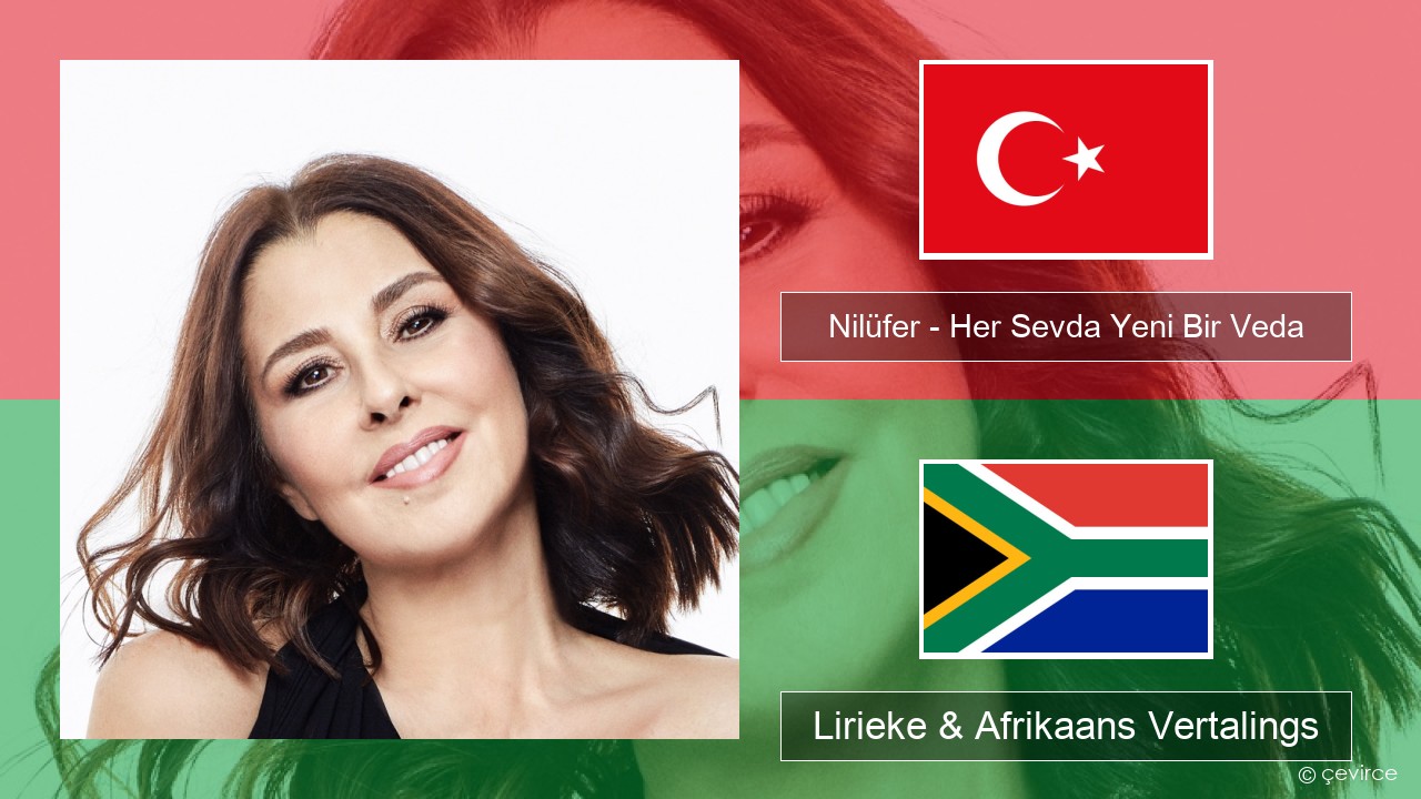 Nilüfer – Her Sevda Yeni Bir Veda Turks Lirieke & Afrikaans Vertalings