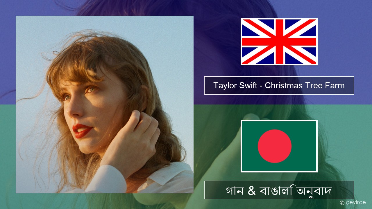 Taylor Swift – Christmas Tree Farm ইংরেজি গান & বাঙালি অনুবাদ