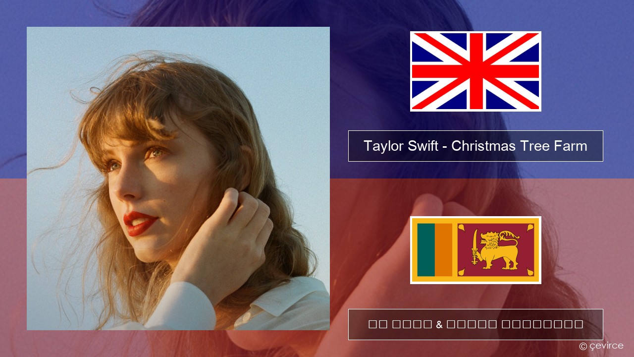 Taylor Swift – Christmas Tree Farm ඉංග්රීසි පද රචනය & සිංහල පරිවර්තන