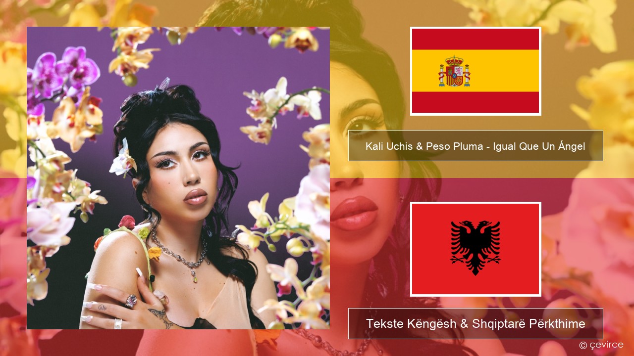 Kali Uchis & Peso Pluma – Igual Que Un Ángel Spanjollë Tekste Këngësh & Shqiptarë Përkthime