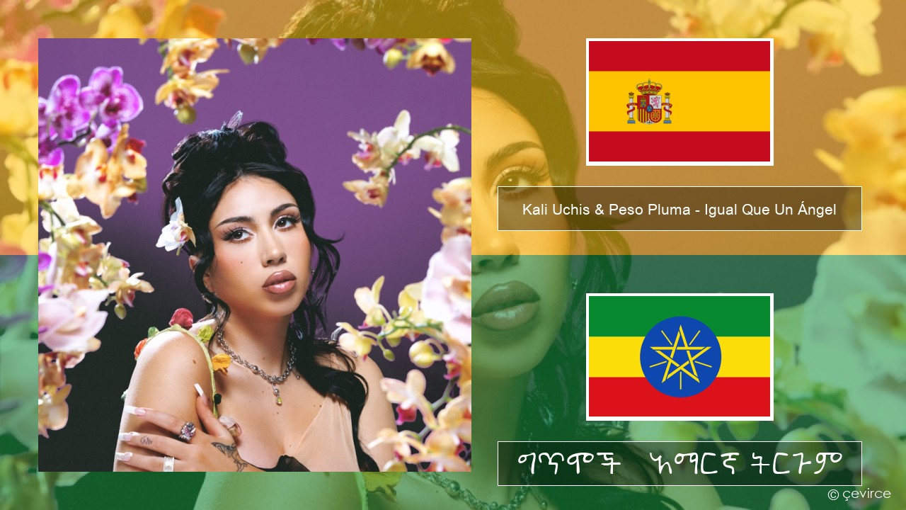 Kali Uchis & Peso Pluma – Igual Que Un Ángel ስፓኒሽ ግጥሞች & አማርኛ ትርጉም