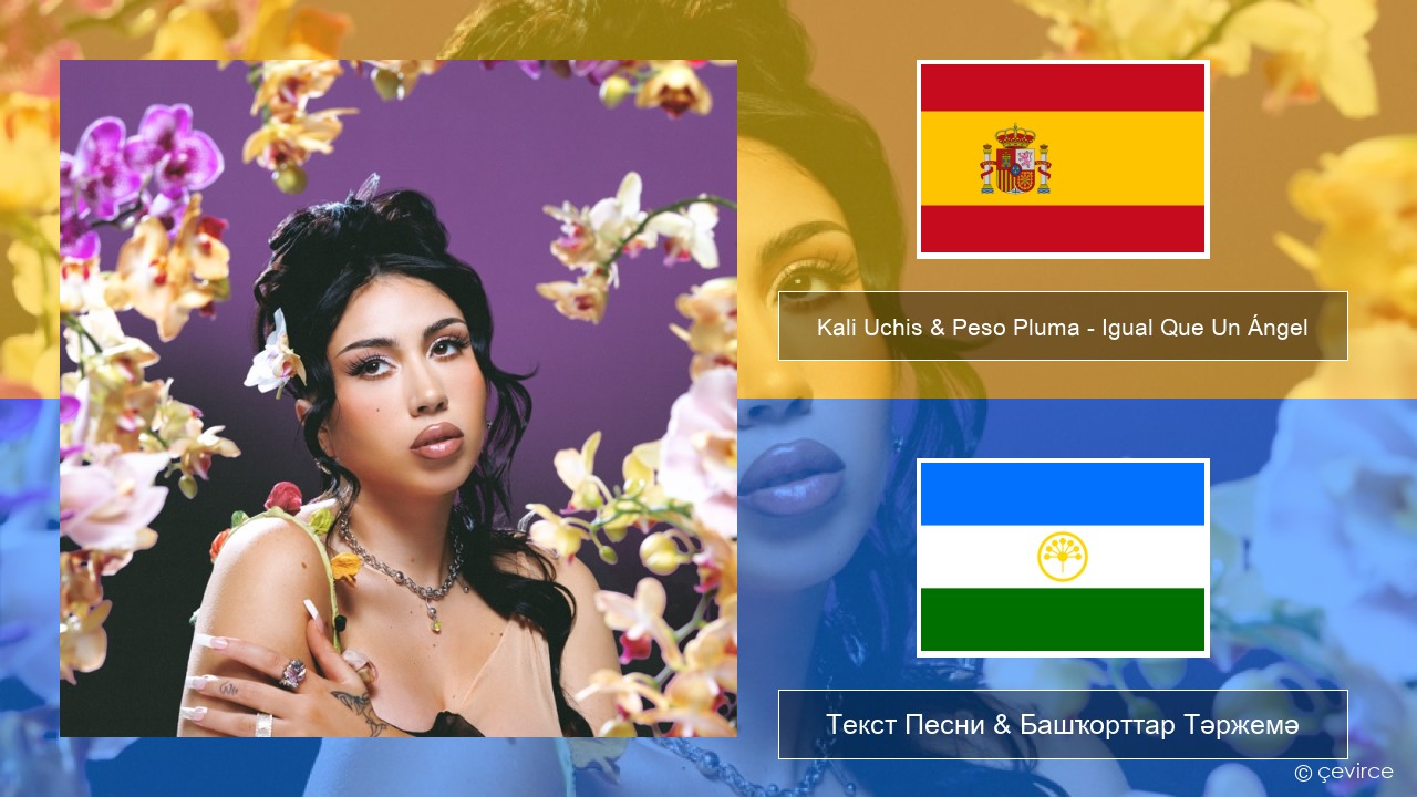 Kali Uchis & Peso Pluma – Igual Que Un Ángel Испания Текст Песни & Башҡорттар Тәржемә