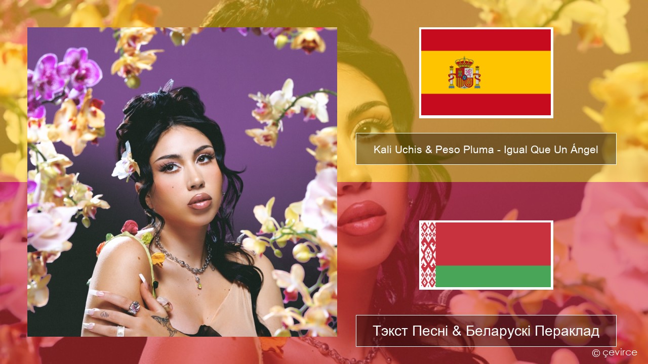 Kali Uchis & Peso Pluma – Igual Que Un Ángel Іспанскі Тэкст Песні & Беларускі Пераклад