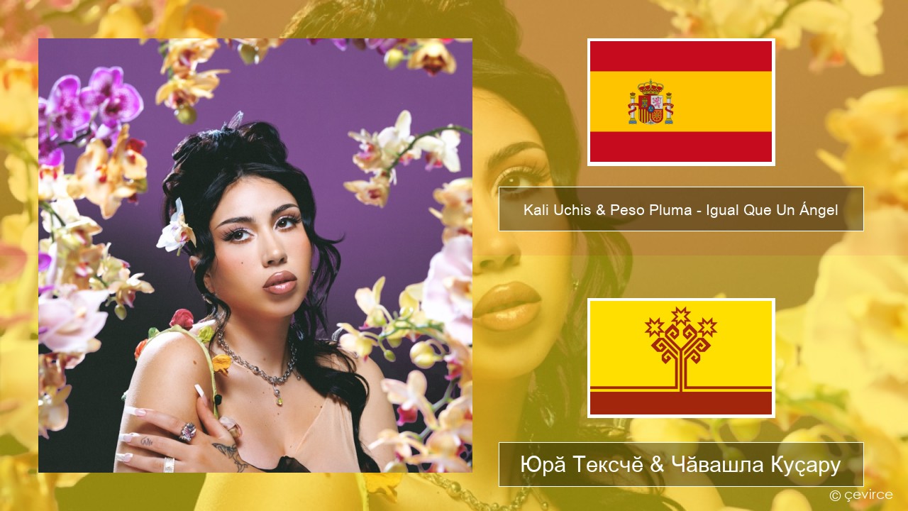 Kali Uchis & Peso Pluma – Igual Que Un Ángel Испани Юрӑ Тексчӗ & Чӑвашла Куҫару