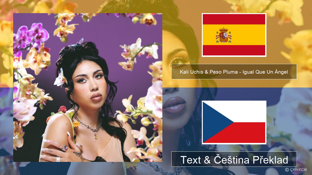 Kali Uchis & Peso Pluma – Igual Que Un Ángel Španělský Text & Čeština Překlad