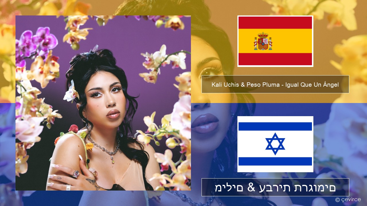 Kali Uchis & Peso Pluma – Igual Que Un Ángel ספרדית מילים & עברית תרגומים