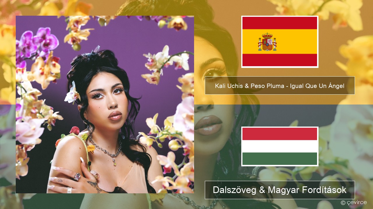 Kali Uchis & Peso Pluma – Igual Que Un Ángel Spanyol Dalszöveg & Magyar Fordítások