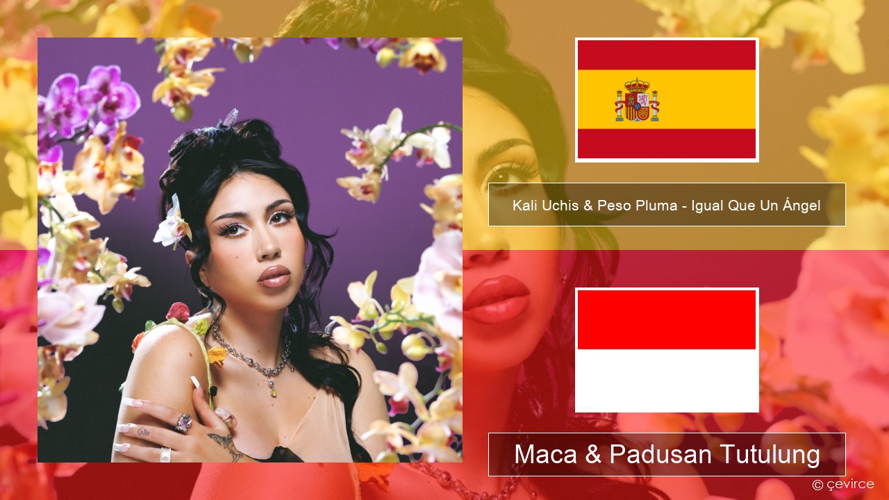 Kali Uchis & Peso Pluma – Igual Que Un Ángel Spanyol Maca & Padusan Tutulung