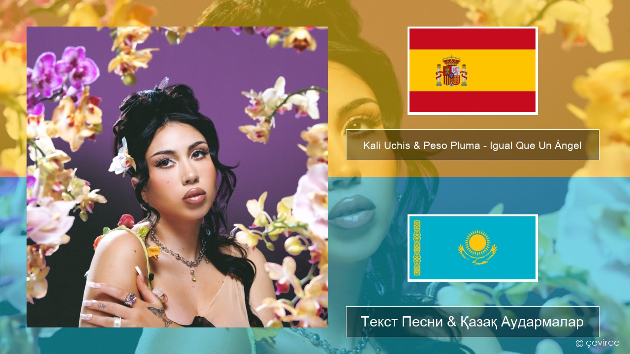 Kali Uchis & Peso Pluma – Igual Que Un Ángel Испан Текст Песни & Қазақ Аудармалар