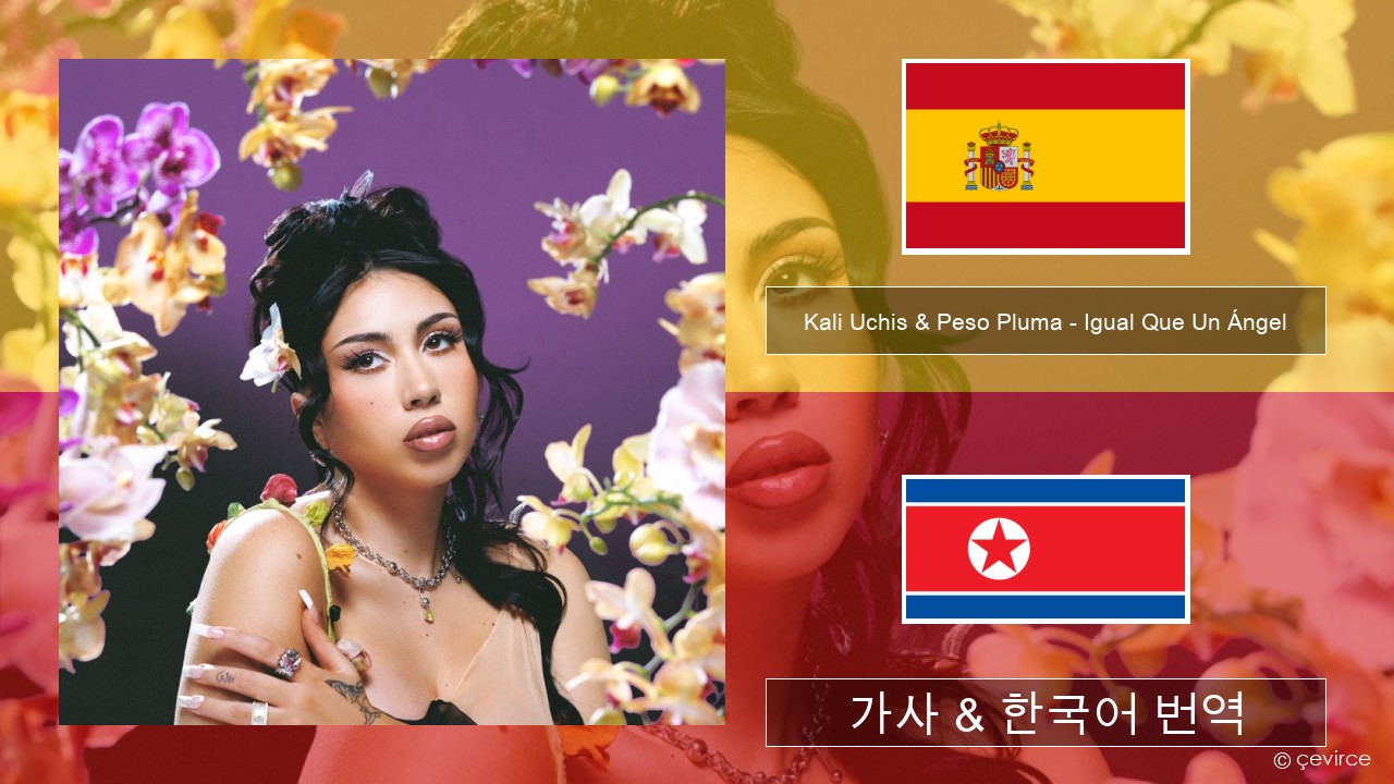 Kali Uchis & Peso Pluma – Igual Que Un Ángel 스페인어 가사 & 한국어 번역