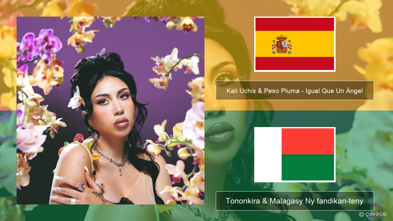 Kali Uchis & Peso Pluma – Igual Que Un Ángel Espaniola Tononkira & Malagasy Ny fandikan-teny