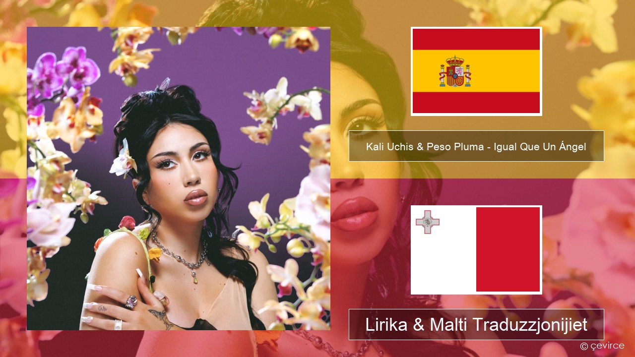 Kali Uchis & Peso Pluma – Igual Que Un Ángel Spanjol Lirika & Malti Traduzzjonijiet