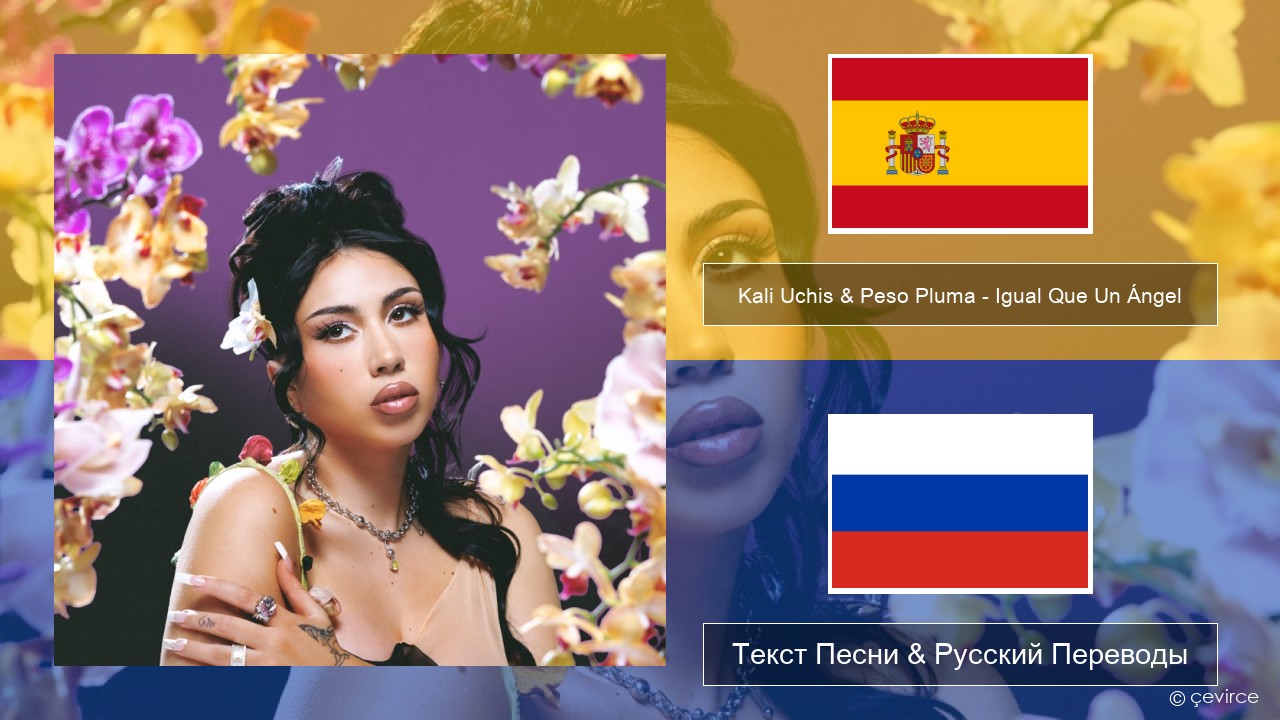 Kali Uchis & Peso Pluma – Igual Que Un Ángel Испанский Текст Песни & Русский Переводы