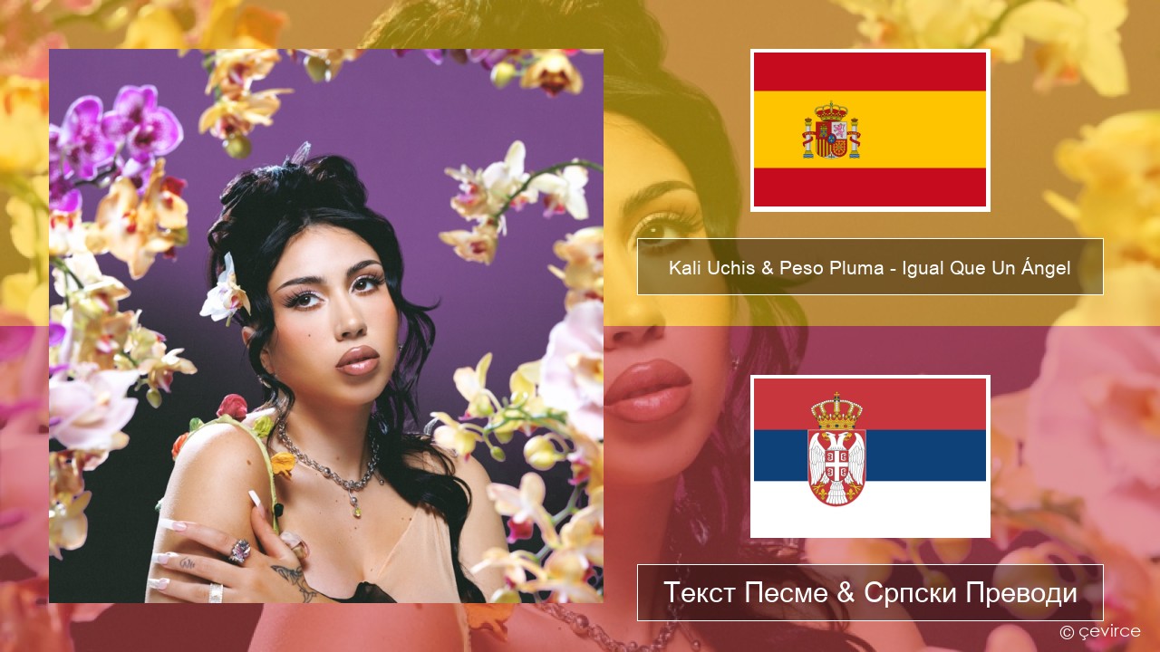 Kali Uchis & Peso Pluma – Igual Que Un Ángel Шпански Текст Песме & Српски Преводи