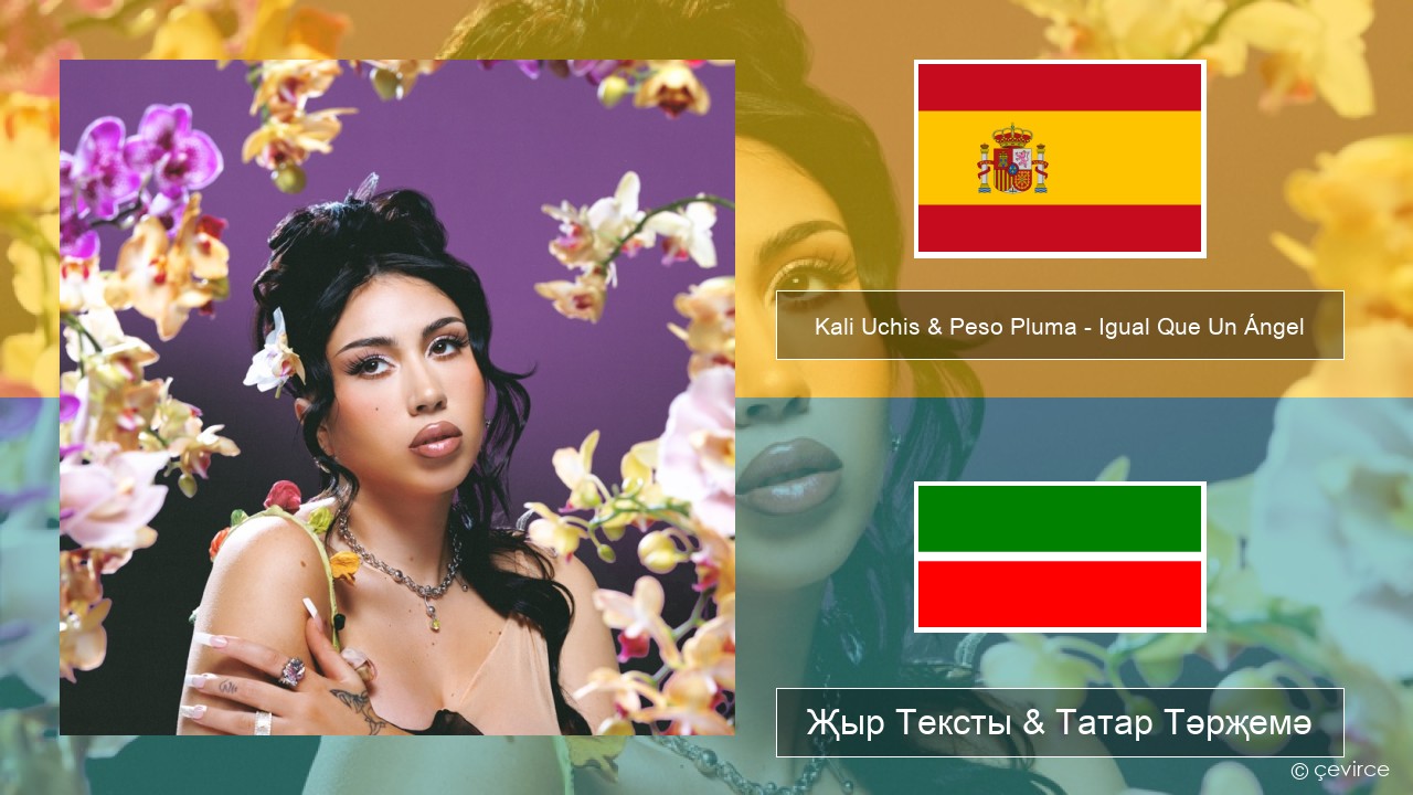 Kali Uchis & Peso Pluma – Igual Que Un Ángel Испан Җыр Тексты & Татар Тәрҗемә