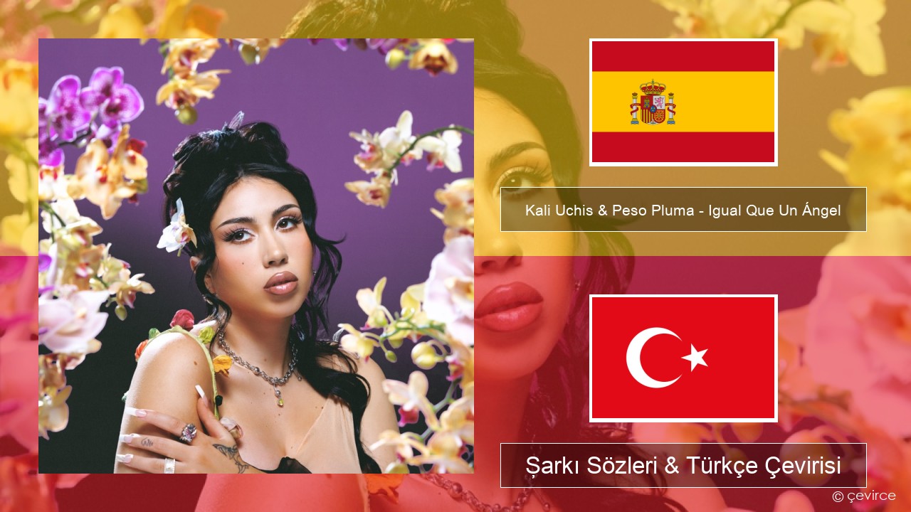 Kali Uchis & Peso Pluma – Igual Que Un Ángel İspanyolca Şarkı Sözleri & Türkçe Çevirisi