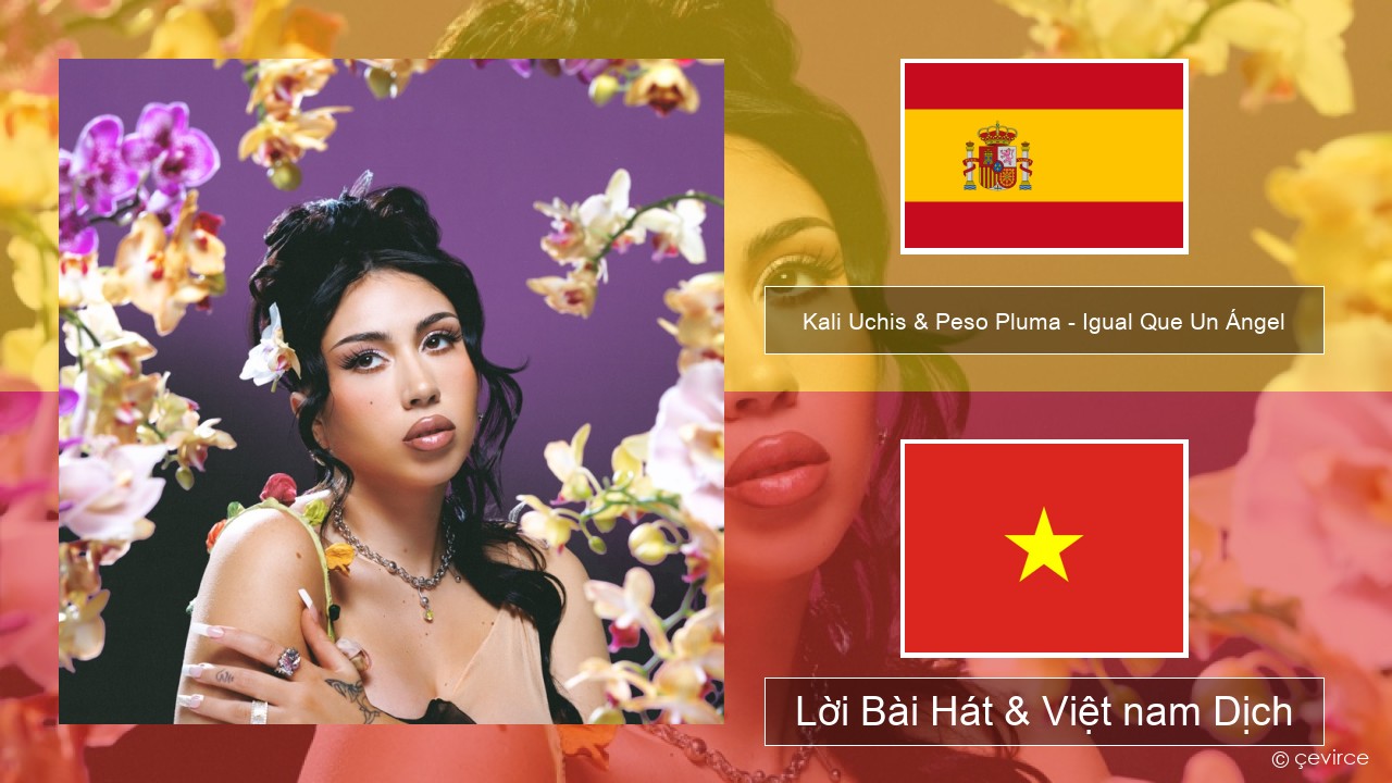 Kali Uchis & Peso Pluma – Igual Que Un Ángel Tiếng tây ban nha Lời Bài Hát & Việt nam Dịch