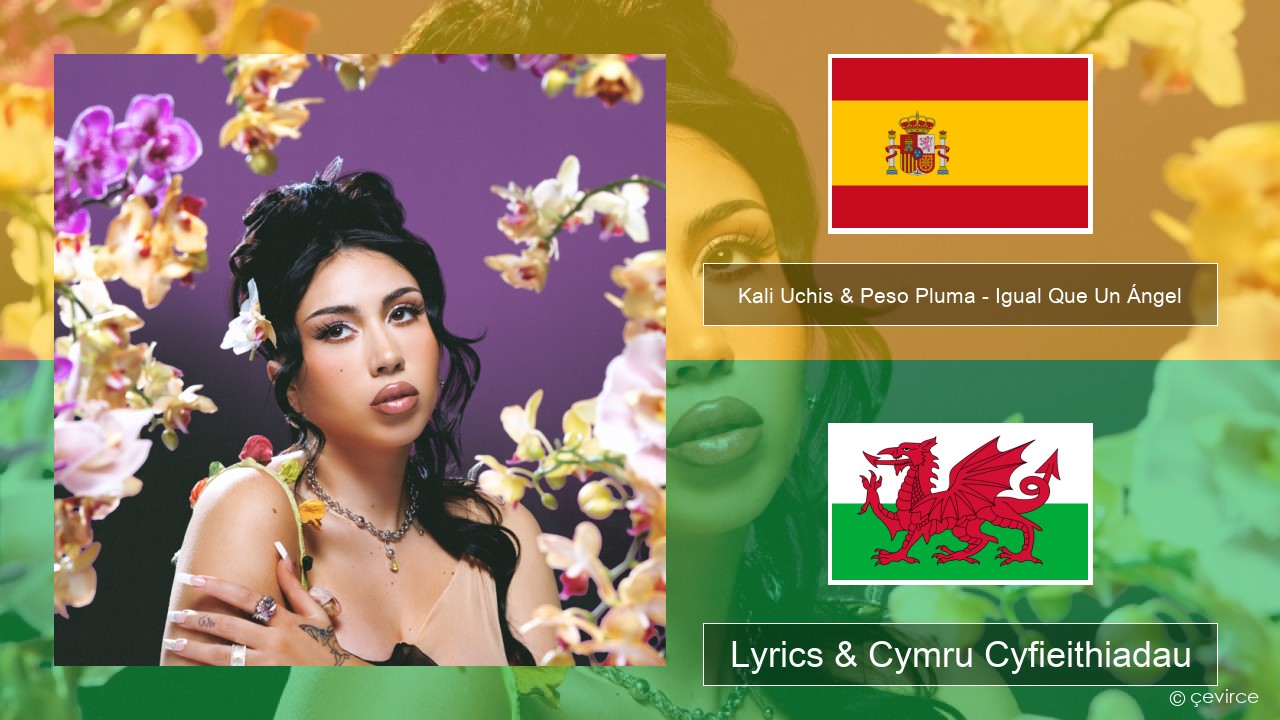 Kali Uchis & Peso Pluma – Igual Que Un Ángel Sbaeneg Lyrics & Cymru Cyfieithiadau