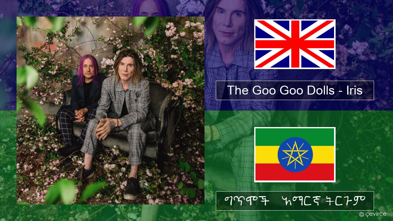 The Goo Goo Dolls – Iris አማርኛ ግጥሞች & አማርኛ ትርጉም