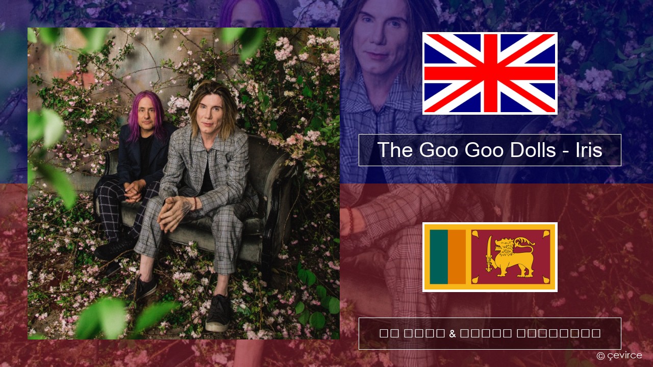 The Goo Goo Dolls – Iris ඉංග්රීසි පද රචනය & සිංහල පරිවර්තන