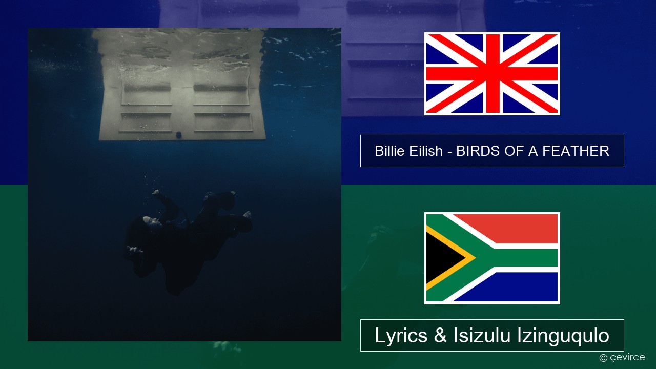 Billie Eilish – BIRDS OF A FEATHER Isizulu Lyrics & Isizulu Izinguqulo