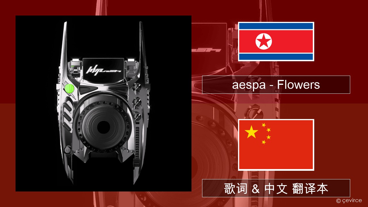 aespa – Flowers 韩国人 歌词 & 中文 翻译本