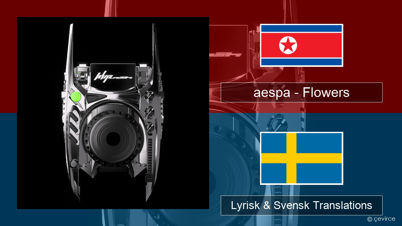 aespa – Flowers Koreansk Lyrisk & Svensk Translations