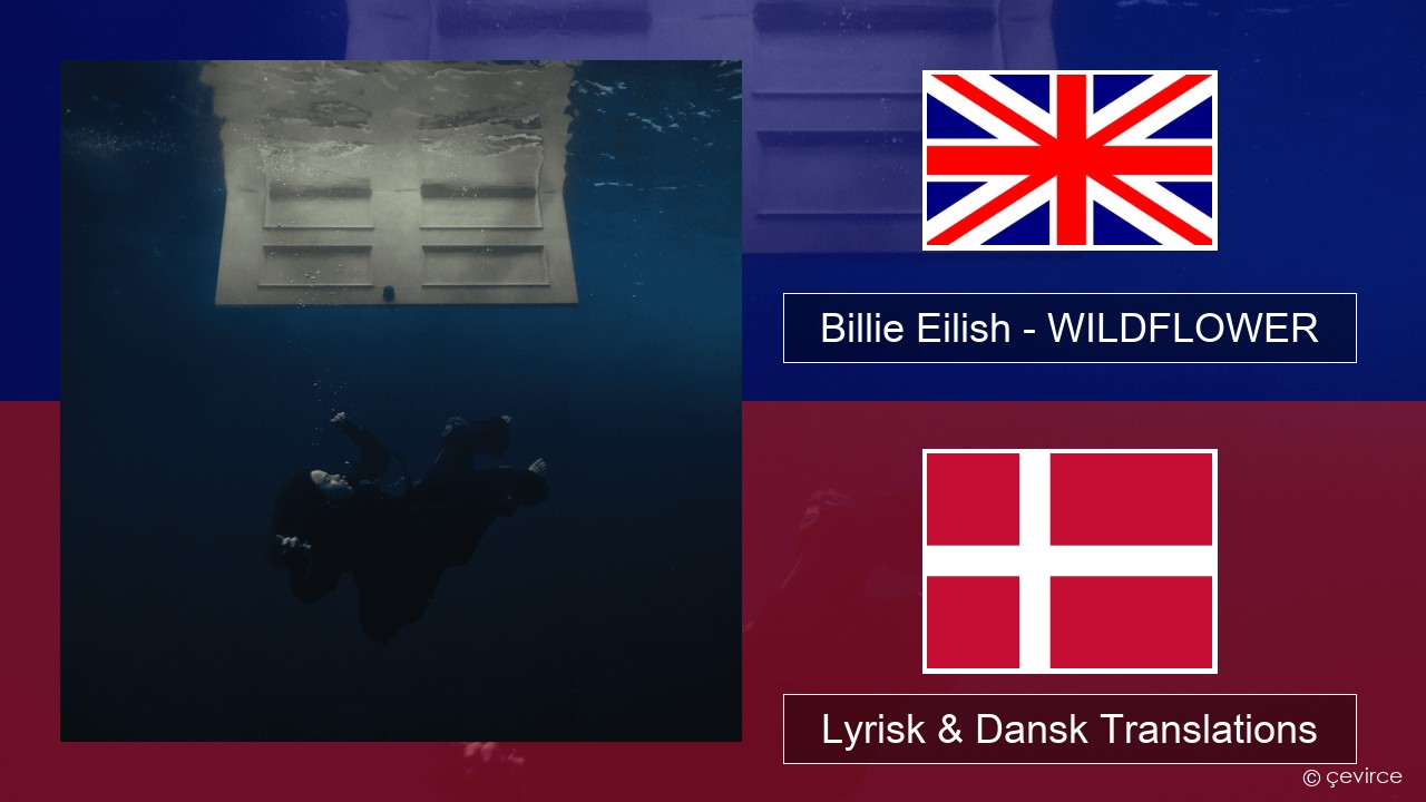 Billie Eilish – WILDFLOWER Engelsk Lyrisk & Dansk Translations