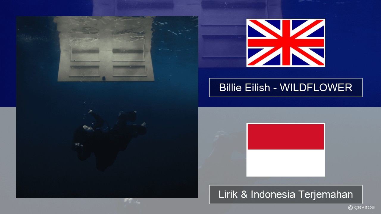 Billie Eilish – WILDFLOWER Bahasa Indonesia Lirik & Indonesia Terjemahan