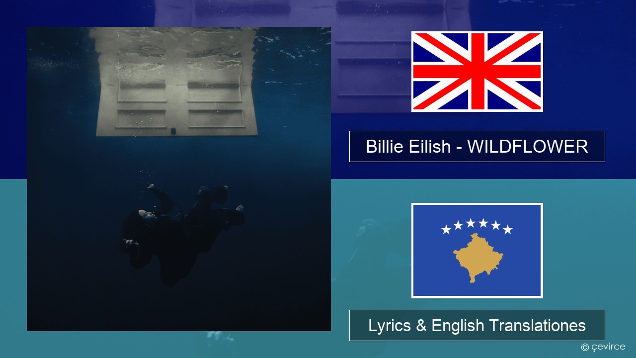 Billie Eilish – WILDFLOWER Anglorum Lyrics & English Translationes