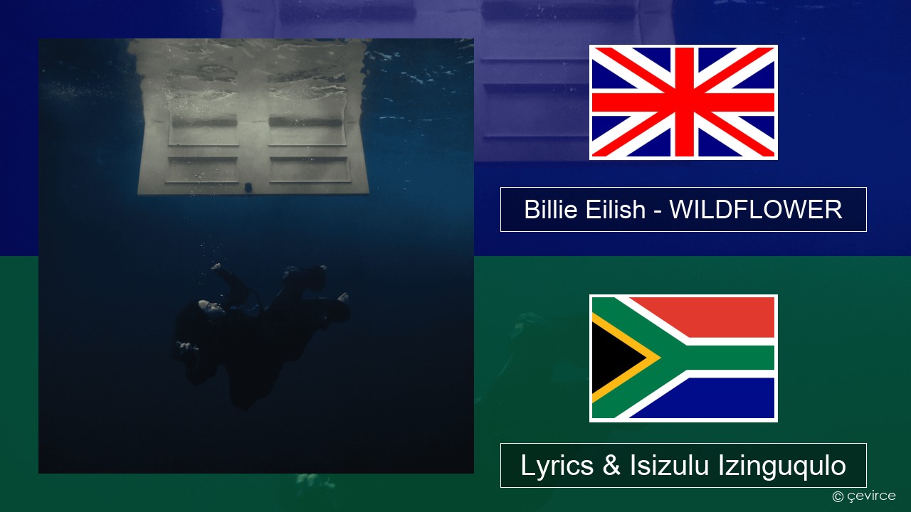 Billie Eilish – WILDFLOWER Isizulu Lyrics & Isizulu Izinguqulo