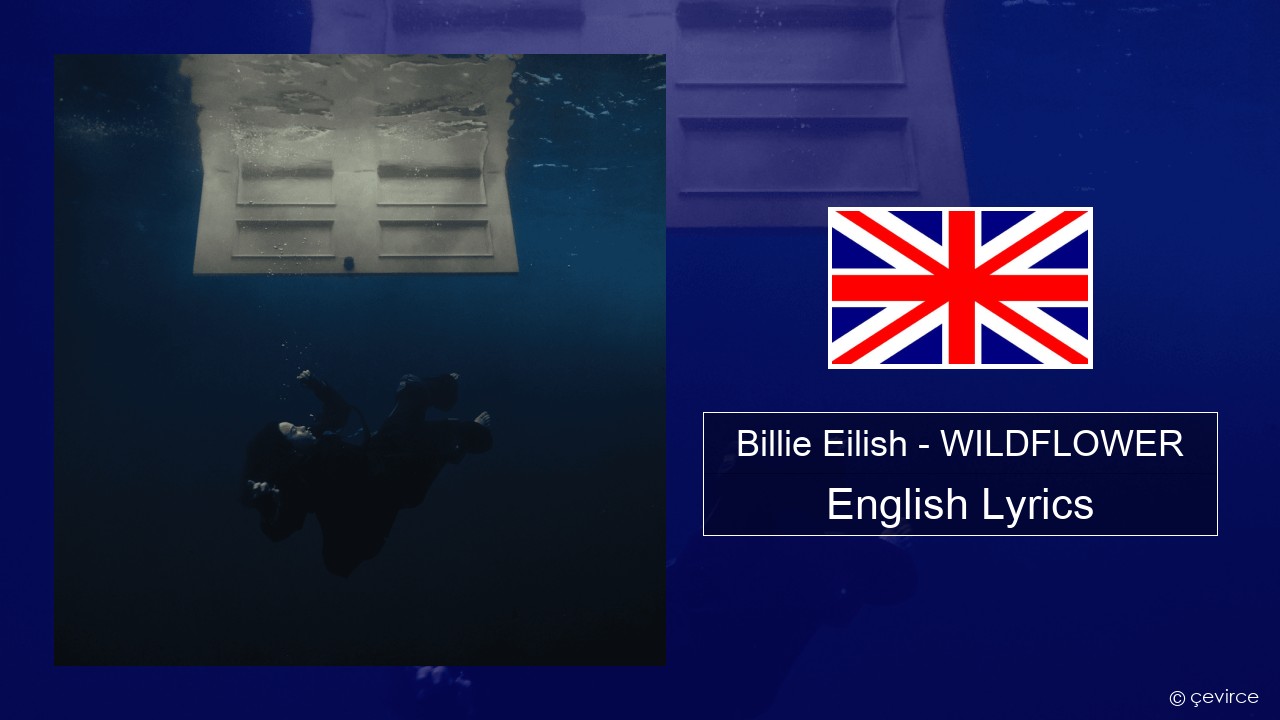 Billie Eilish – WILDFLOWER English Lyrics