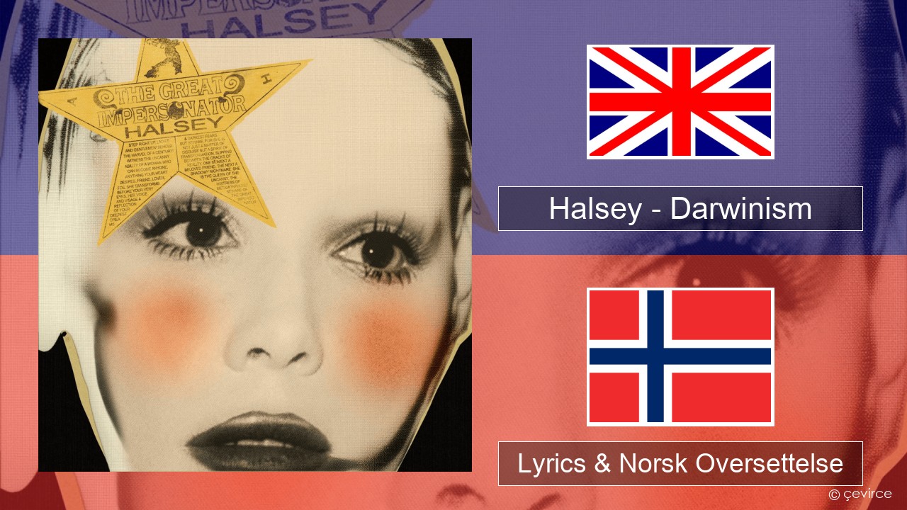 Halsey – Darwinism Engelsk Lyrics & Norsk Oversettelse