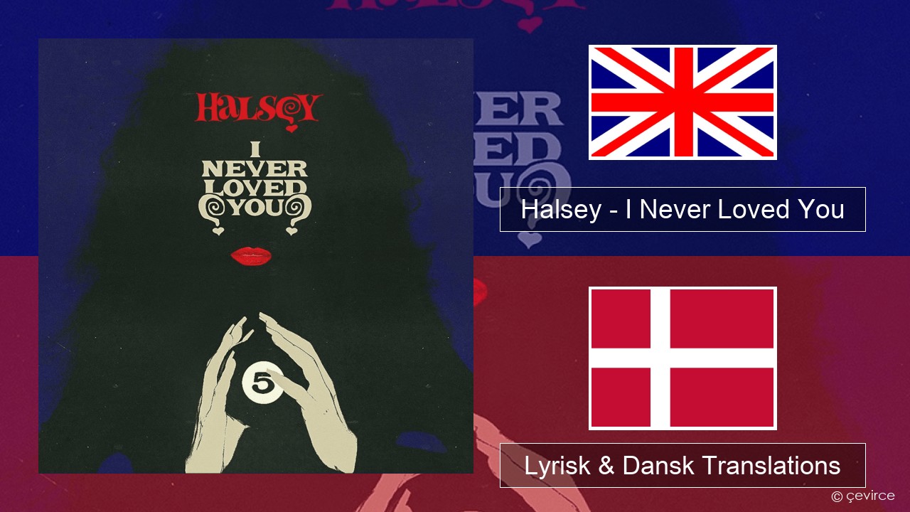 Halsey – I Never Loved You Engelsk Lyrisk & Dansk Translations