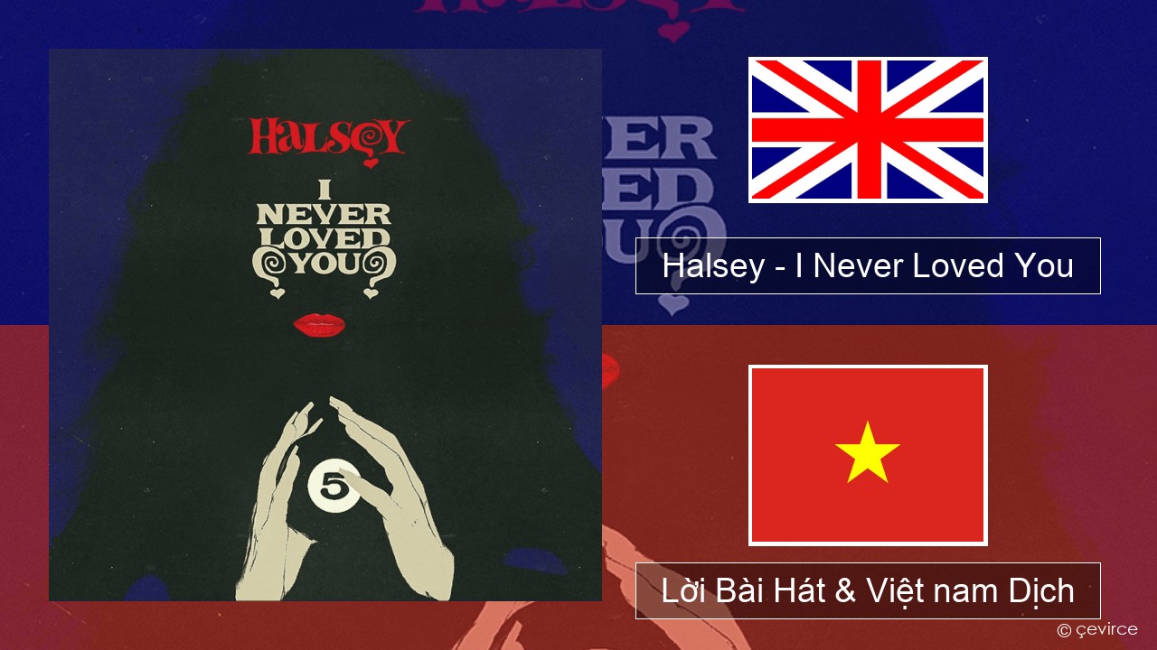 Halsey – I Never Loved You Tiếng anh Lời Bài Hát & Việt nam Dịch