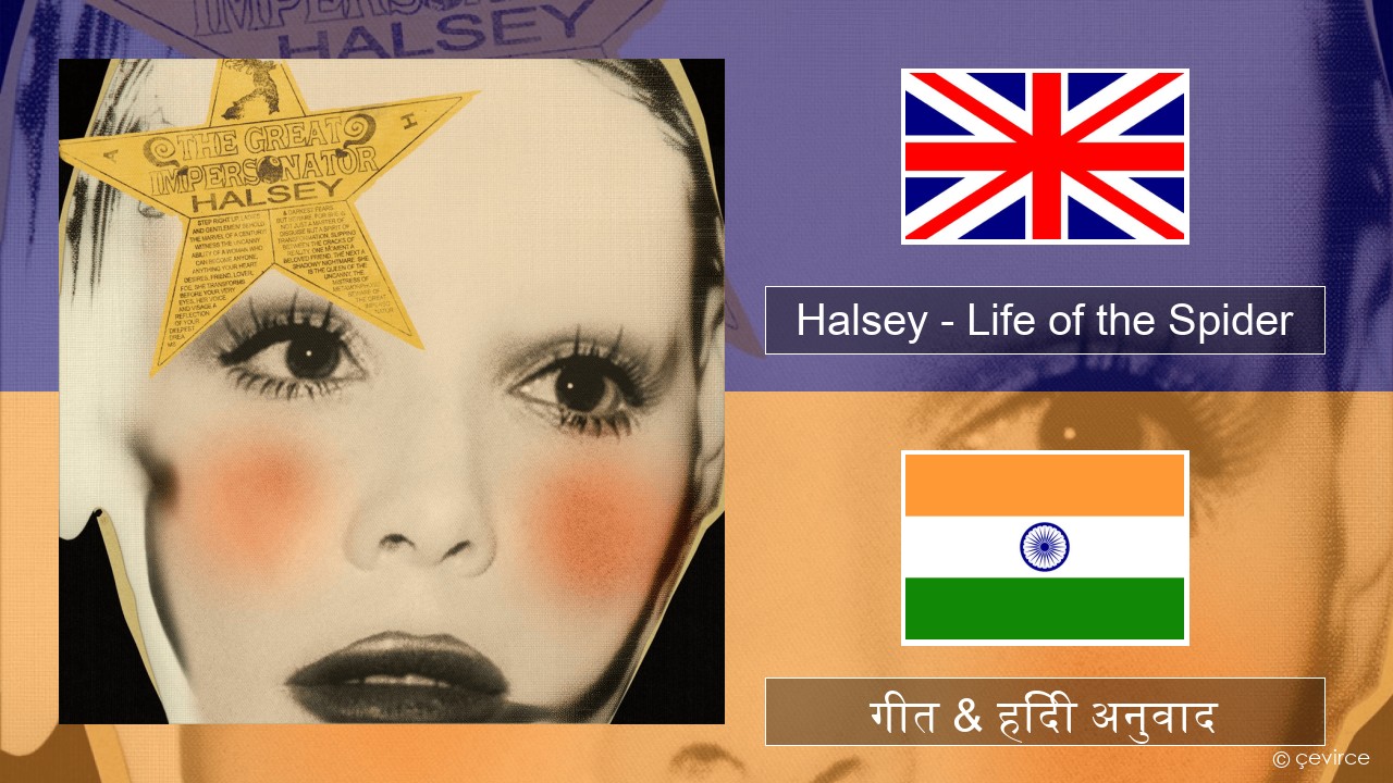 Halsey – Life of the Spider (Draft) अंग्रेजी गीत & हिंदी अनुवाद