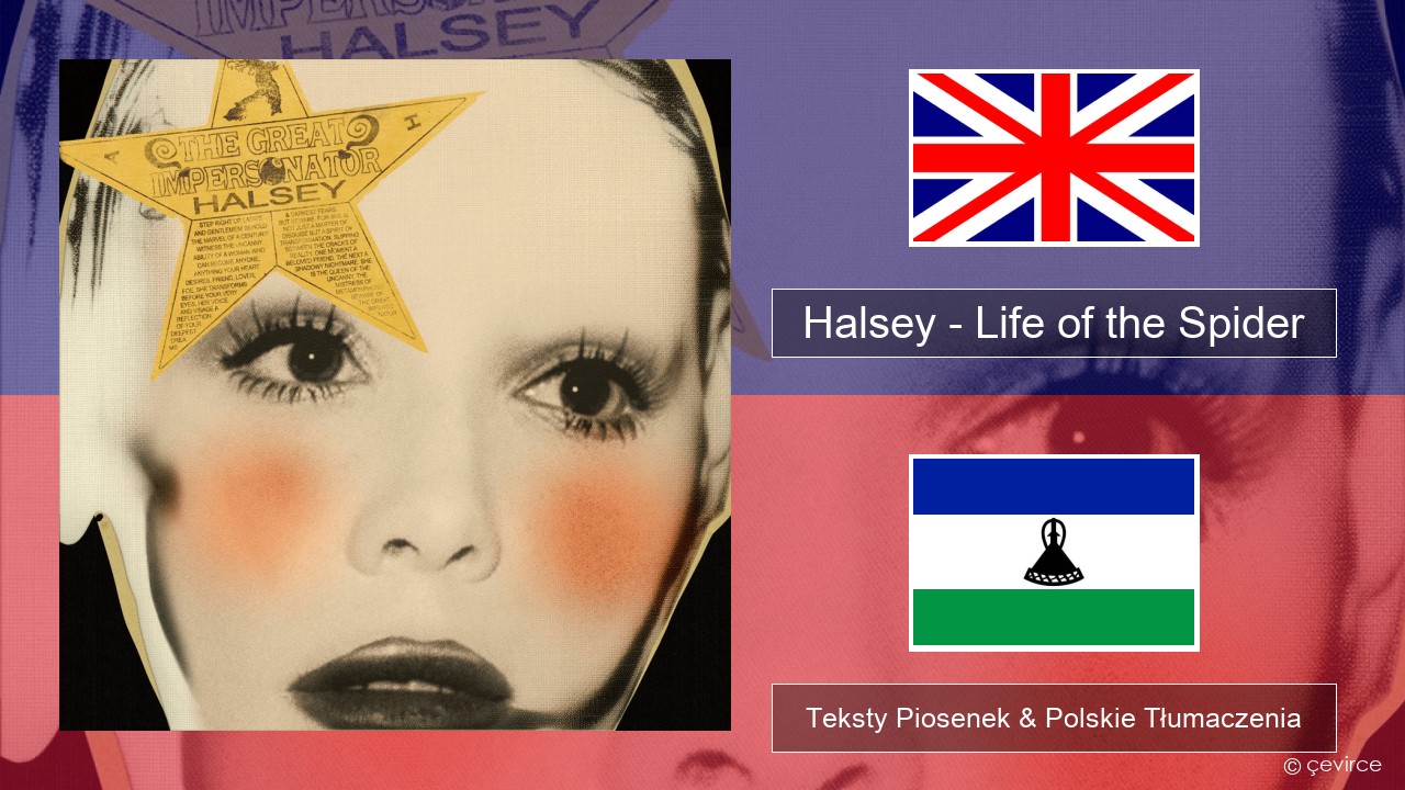 Halsey – Life of the Spider (Draft) Polski Teksty Piosenek & Polskie Tłumaczenia