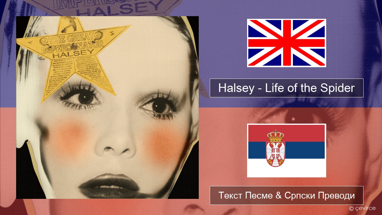 Halsey – Life of the Spider (Draft) Енглески Текст Песме & Српски Преводи