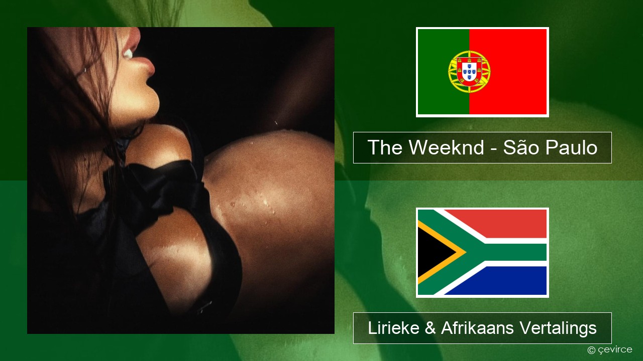 The Weeknd – São Paulo Portugees Lirieke & Afrikaans Vertalings