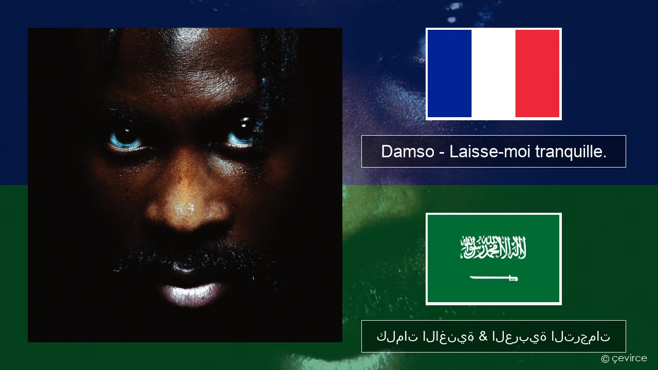 Damso – Laisse-moi tranquille. الفرنسية كلمات الاغنية & العربية الترجمات