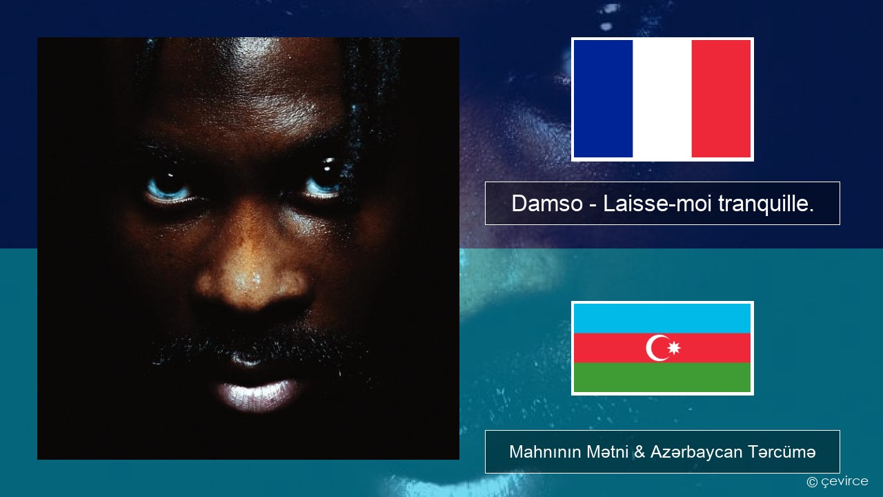 Damso – Laisse-moi tranquille. Fransız Mahnının Mətni & Azərbaycan Tərcümə