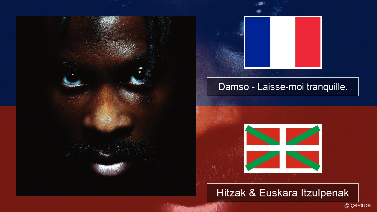 Damso – Laisse-moi tranquille. Frantsesa Hitzak & Euskara Itzulpenak