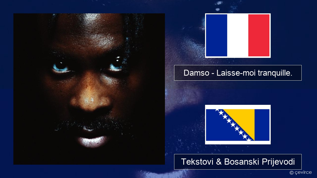 Damso – Laisse-moi tranquille. Francuski Tekstovi & Bosanski Prijevodi